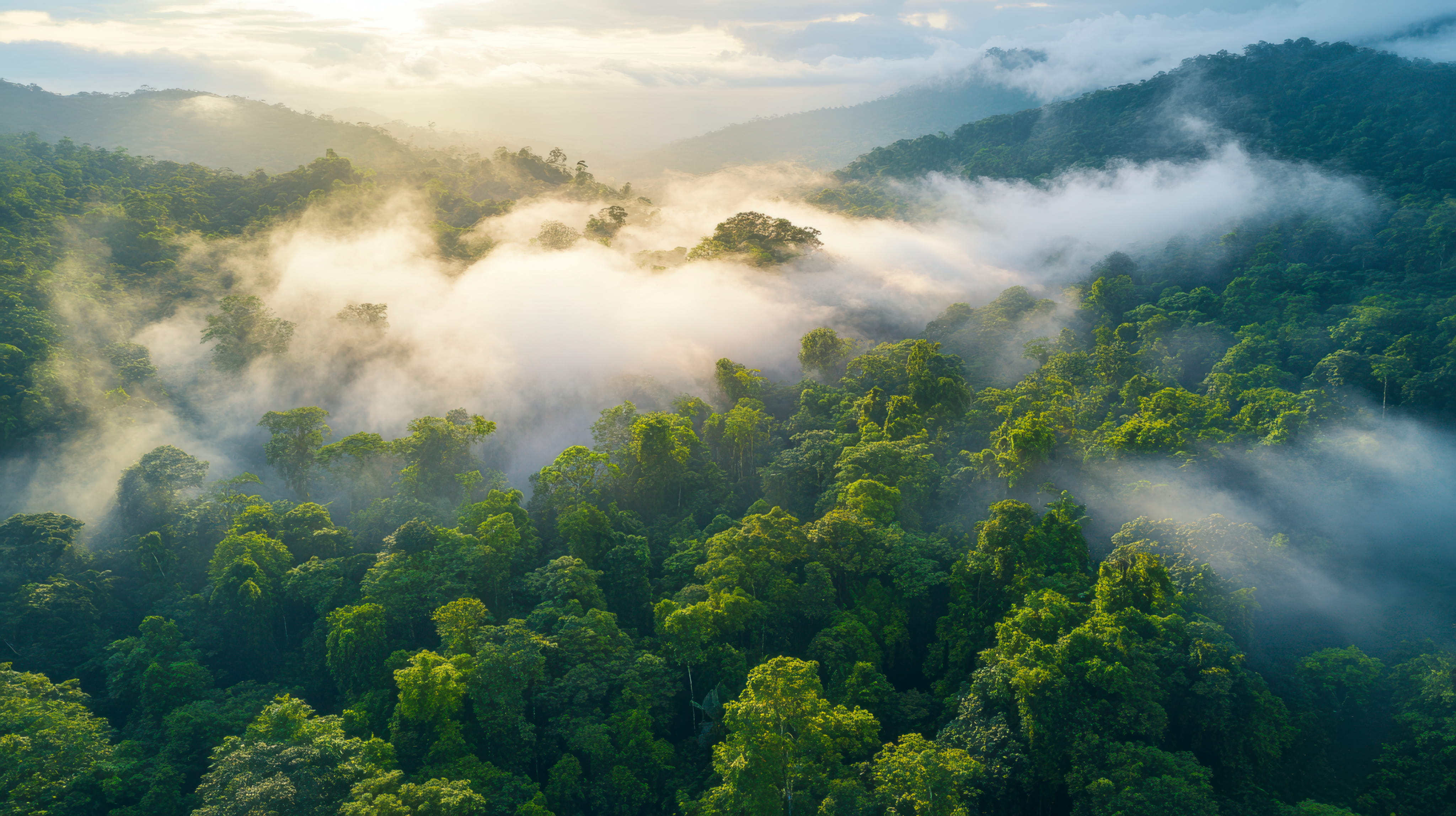 Sustainability
