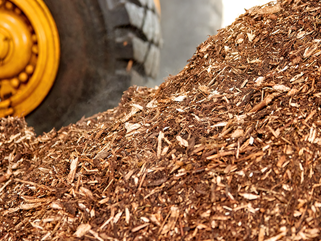 Biomass waste